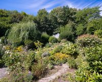 Blick in den Garten